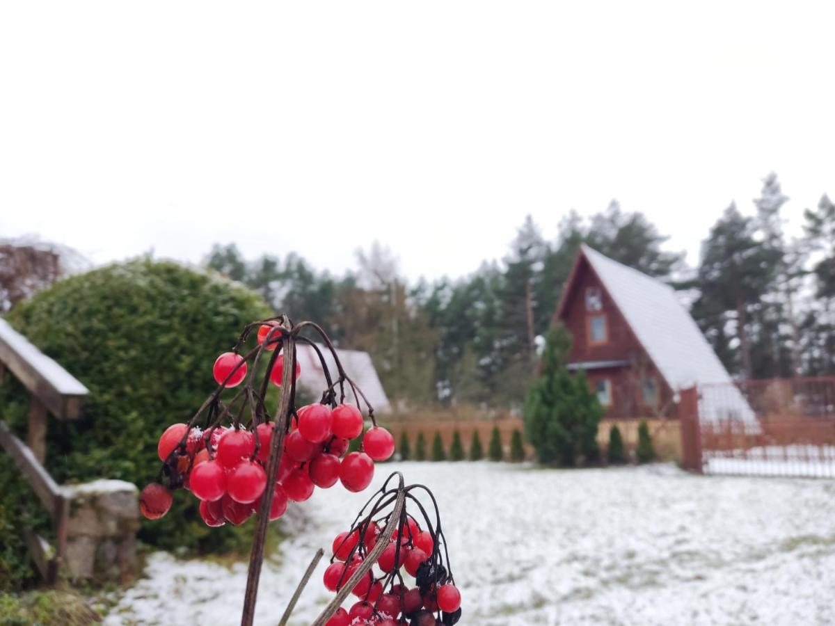Pod Leszczyna Na Kaszubach Ferienhaus *