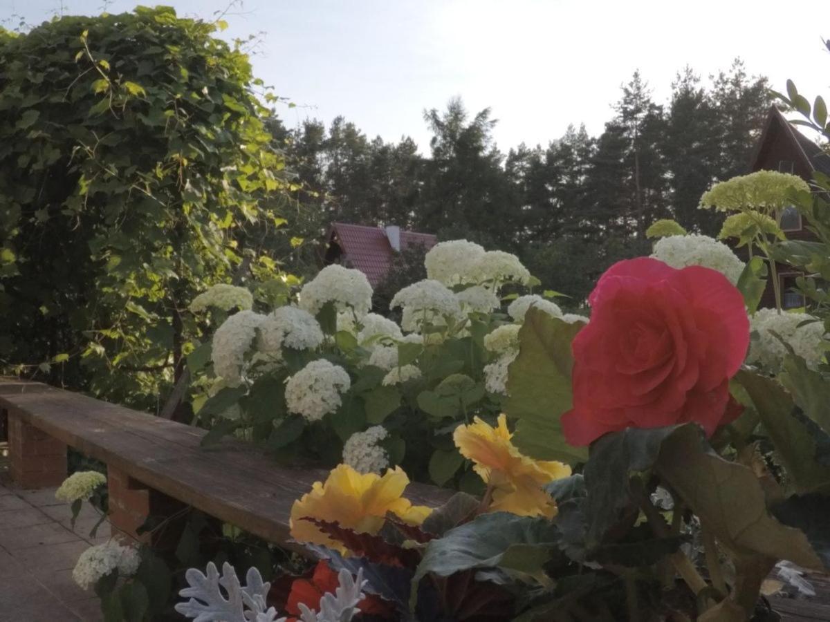 Pod Leszczyna Na Kaszubach * Stężyca